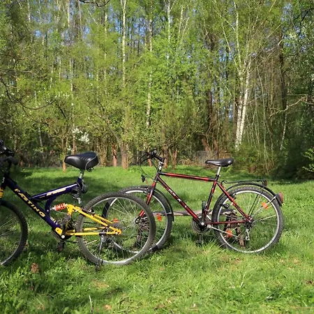 Hébergement de vacances Wakacyjny Dom Letni Ostrowek