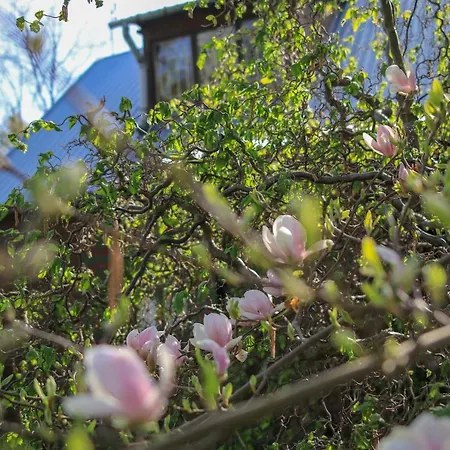 Wakacyjny Dom Letni Tatil Evi