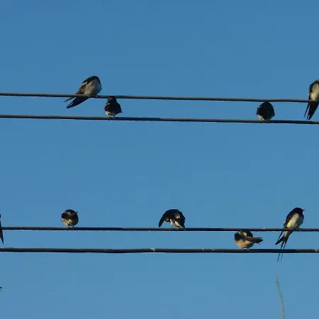 Feriehus Wakacyjny Dom Letni Ostrowek