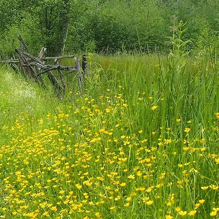 Wakacyjny Dom Letni Tatil Evi Ostrowek