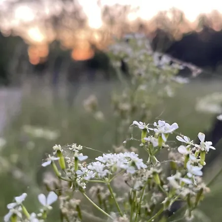 Wakacyjny Dom Letni * Ostrowek