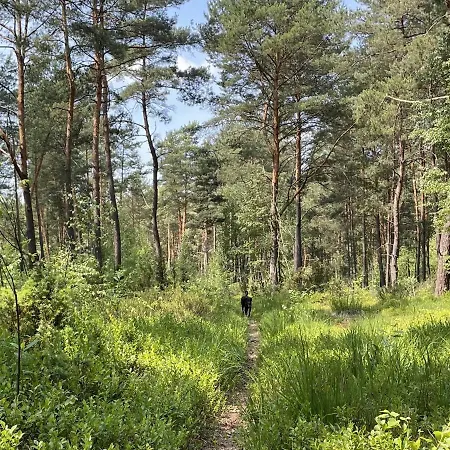 Wakacyjny Dom Letni * Ostrowek