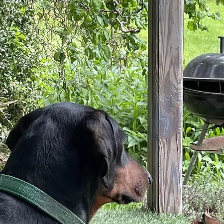 Wakacyjny Dom Letni * Ostrowek