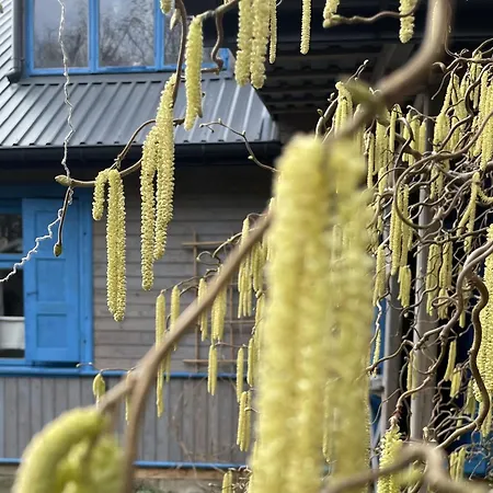 Wakacyjny Dom Letni Ostrowek