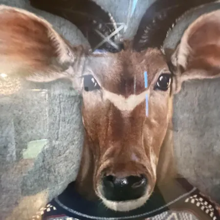 Wakacyjny Dom Letni Hébergement de vacances Ostrowek