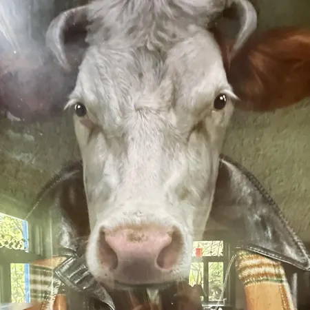 Wakacyjny Dom Letni *