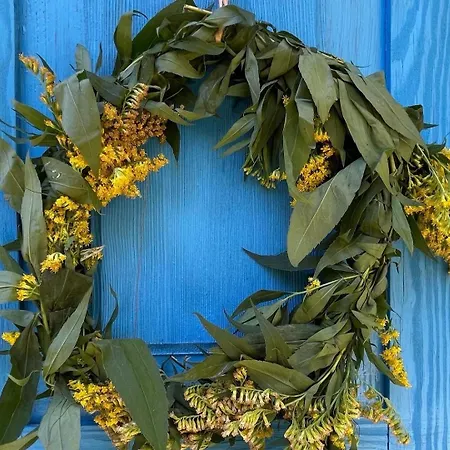 Wakacyjny Dom Letni Tatil Evi Ostrowek