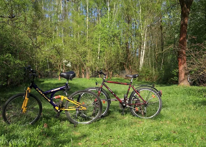 بيت للعطل Wakacyjny Dom Letni Ostrowek