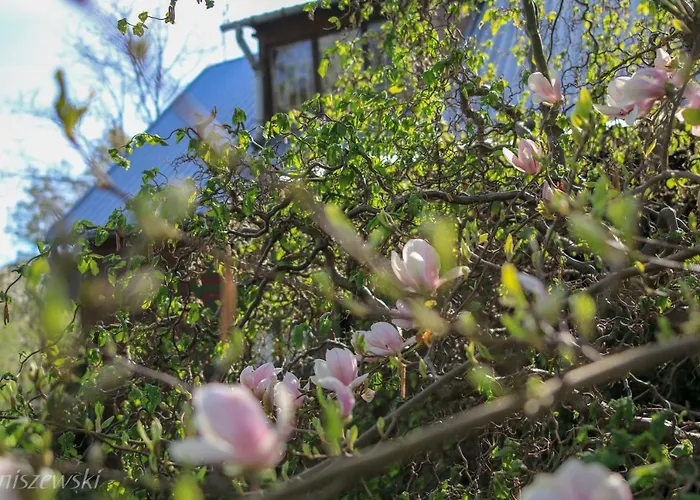 Wakacyjny Dom Letni بيت للعطل