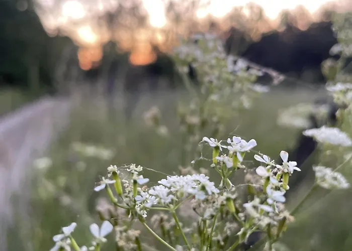 Wakacyjny Dom Letni * Ostrowek
