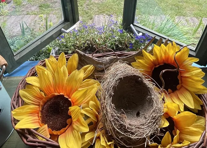 Wakacyjny Dom Letni Ostrowek