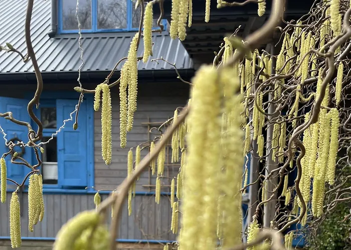 Wakacyjny Dom Letni Ostrowek